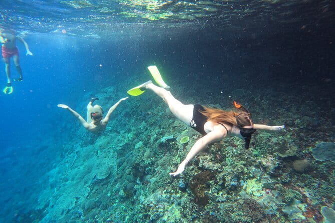 Snorkeling Day Trip to Nusa Lembongan and Nusa Penida - Key highlights you’ll care about