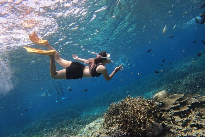Snorkeling Day Trip to Nusa Lembongan and Nusa Penida - Meeting Nusa Penida’s Manta Ray Zone (and Why the Route Makes Sense)