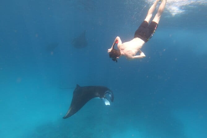 Snorkeling Day Trip to Nusa Lembongan and Nusa Penida - Kayaking or a Lembongan tour: Filling the “land time” well