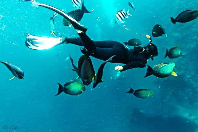 Snorkeling Day Trip to Nusa Lembongan and Nusa Penida - Group size up to 100: Expect organization, not intimacy