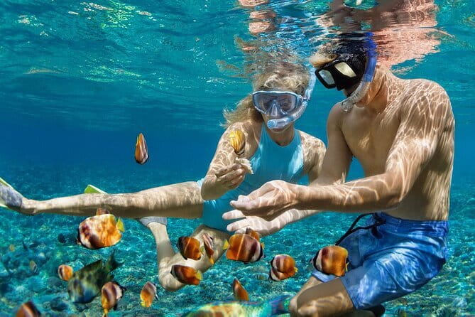 Snorkeling Day Trip to Nusa Lembongan and Nusa Penida - Price and value: Is $43.87 a good deal for this much water time?