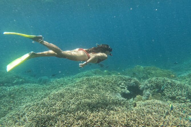 Snorkeling Day Trip to Nusa Lembongan and Nusa Penida - Snorkeling at Three Spots: What Each Part Is Likely to Feel Like