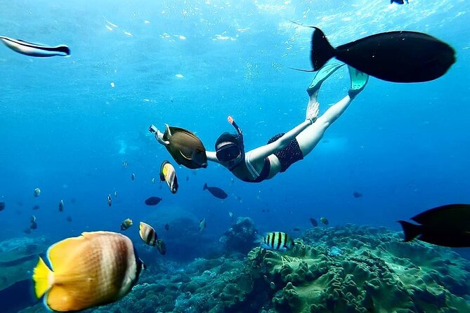Snorkeling In Nusa Penida And Uluwatu Sunset Tours - One long day: 6:00 am snorkeling to Jimbaran at night