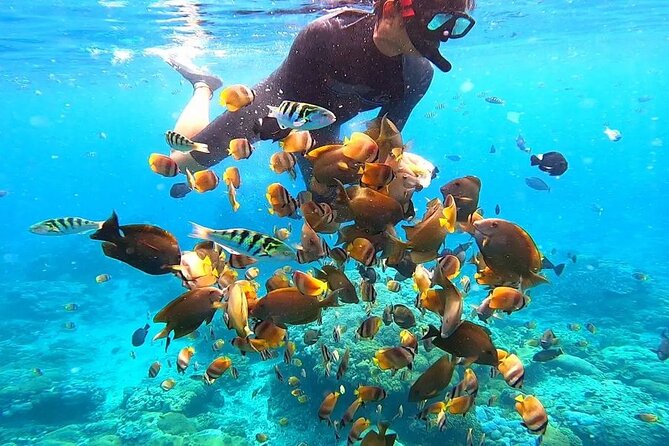 Snorkeling In Nusa Penida And Uluwatu Sunset Tours - Kecak and Fire Dance next to the temple