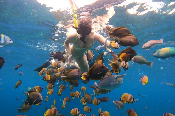 Snorkeling In Nusa Penida Island With Manta Ray From Bali - Key Highlights Worth Getting Excited About