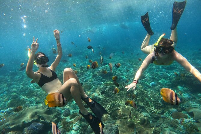 Snorkeling In Nusa Penida Island With Manta Ray From Bali - Included vs. Not Included: Know What You’re Paying For