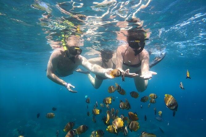 Snorkeling In Nusa Penida Island With Manta Ray From Bali - Crystal Bay and Wall Point: Your First Real Look at Penida’s Underwater Life