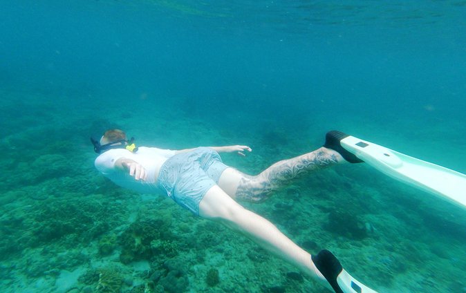 Snorkeling Package at Tulamben Liberty Shipwreck - Two snorkeling sessions: how the day flows in real life