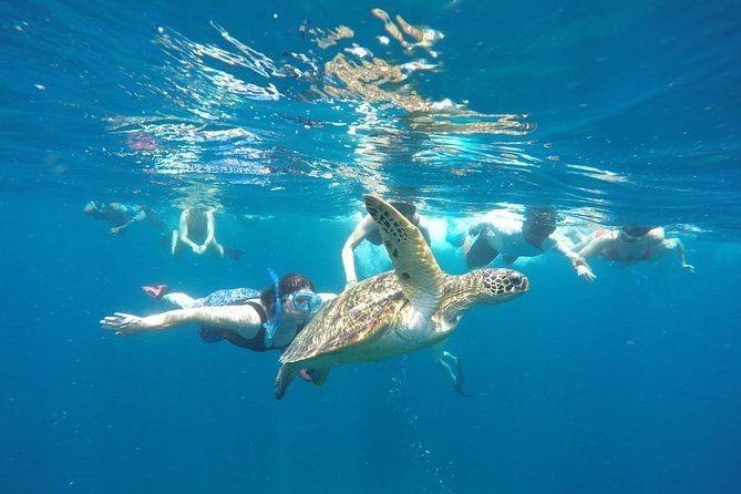 Snorkeling Tour In Gili Trawangan, Gili Meno And Gili Air Pick Up From Bali - Key things I’d plan around