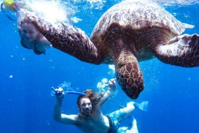 Snorkeling Tour In Gili Trawangan, Gili Meno And Gili Air Pick Up From Bali - Price and Logistics: what you’re paying for at $275 per person