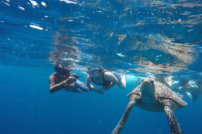 Snorkeling Tour In Gili Trawangan, Gili Meno And Gili Air Pick Up From Bali - Stop 1: Gili Trawangan Turtle Spot in 30 minutes