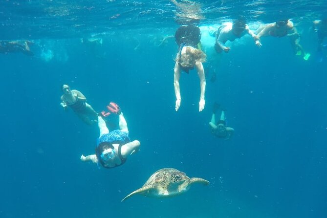 Snorkeling Tour In Gili Trawangan, Gili Meno And Gili Air Pick Up From Bali - What to pack so the 30-minute stops feel worth it
