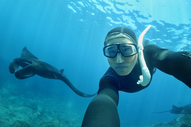 Snorkelling in Nusa Penida - Manta Point - Sanur to Nusa Penida: how the day is paced