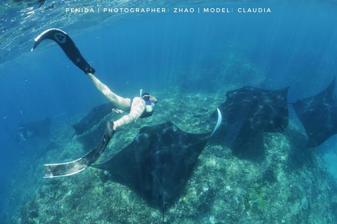 Snorkelling in Nusa Penida - Manta Point - The land stops: Kelingking Beach and why you might not skip it