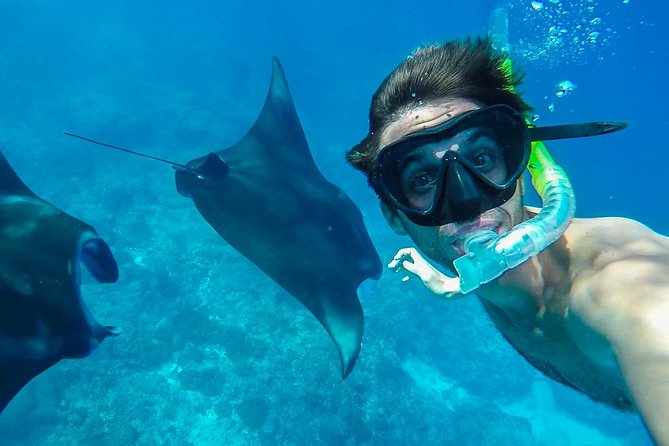 Snorkelling in Nusa Penida - Manta Point - Boat transfers that cover more reef than a basic tour