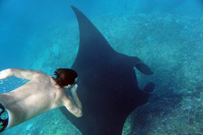 Snorkelling with Manta Rays at Nusa Penida and Lembongan - Small group and guide ratio: why beginners usually do well