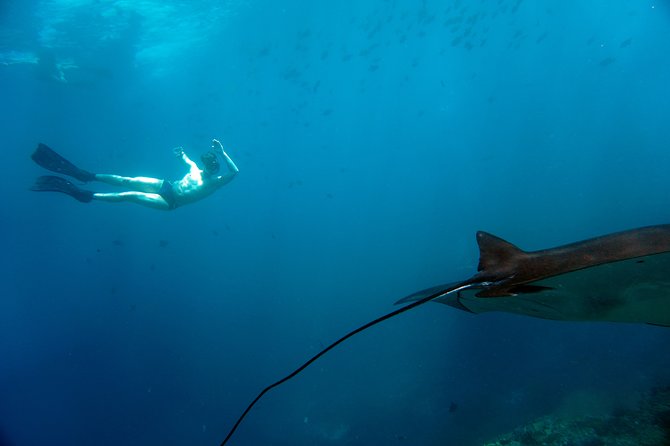 Snorkelling with Manta Rays at Nusa Penida and Lembongan - Weather rules, timing changes, and how to stay sane