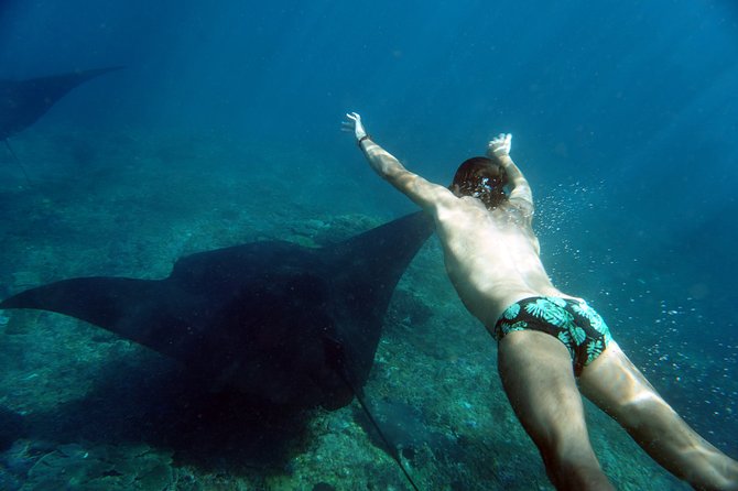 Snorkelling with Manta Rays at Nusa Penida and Lembongan - Who should book this manta ray snorkel from Bali, and who should skip it