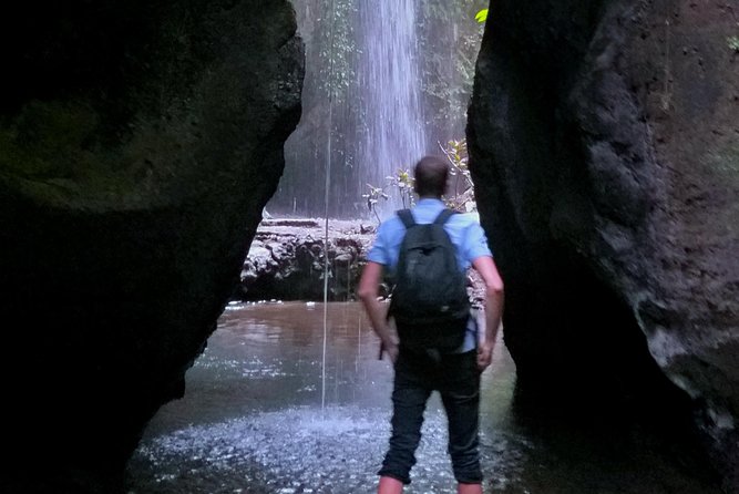 Spectacular Eastern Bali Tour - Tegalalang rice terraces: walking down and choosing your own fun