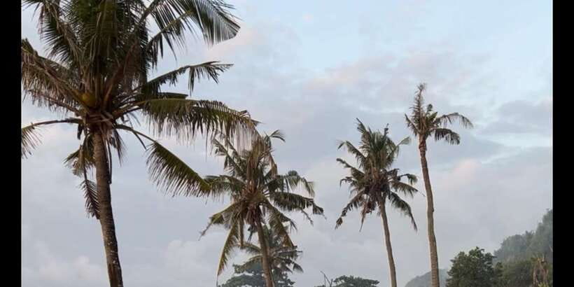 SURFA BALI curated surf lesson + trip to spots (Beg. & Int.) - Key things to know before you go