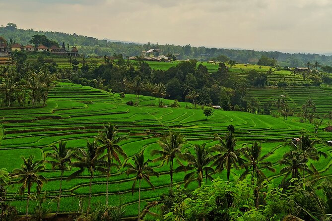 Tanah Lot Tour: Discover Bali’s Iconic Temple and Stunning Views - Stop 1: Pura Batu Bolong’s ocean arch views (about 10 minutes)