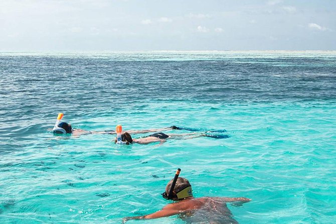 The Best 2-point Snorkeling in Padangbai: Blue lagoon and Tanjung jepun - Key Highlights: Tanjung Jepun + Blue Lagoon in One Day