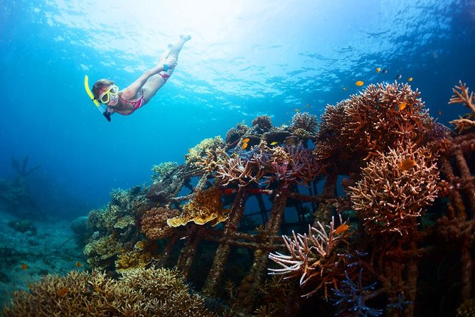 The Best 2-point Snorkeling in Padangbai: Blue lagoon and Tanjung jepun - Stop 2 at Blue Lagoon: Coral Views, Small Fish, and the Cleanliness Check