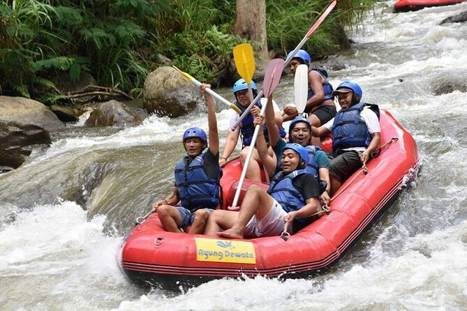 The Best Ayung River Rafting Adventure in Ubud - Your Ayung River run: jungle views and grade II–III rapids