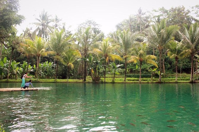 Traditional Balinese Cooking Class with Ubud Tour - Temple stops after lunch: Taman Mumbul and Tanah Lot