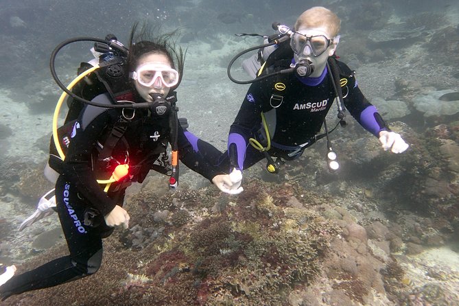 Try Diving in Blue Lagoon Padangbai Bali for non-certified divers - Price and what $180 covers (and what it means for value)