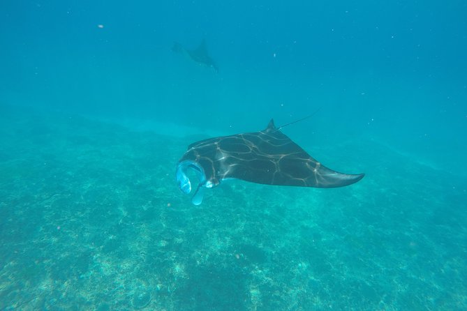 Try Diving in Manta Point - Nusa Penida - Key things that make this try-scuba day work