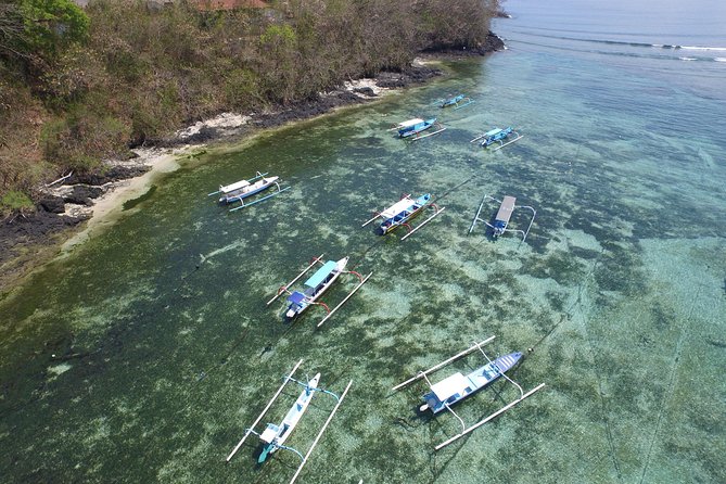 Try Scuba Diving at Padang Bai - Price and value: What $99.60 actually covers