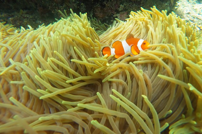 Try Scuba Diving at Padang Bai - Return trip after 2:00 PM: timing, comfort, and clothing choices