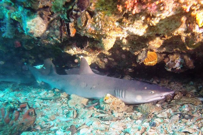 Try Scuba Diving at Padang Bai - Practical tips that make your first underwater session easier