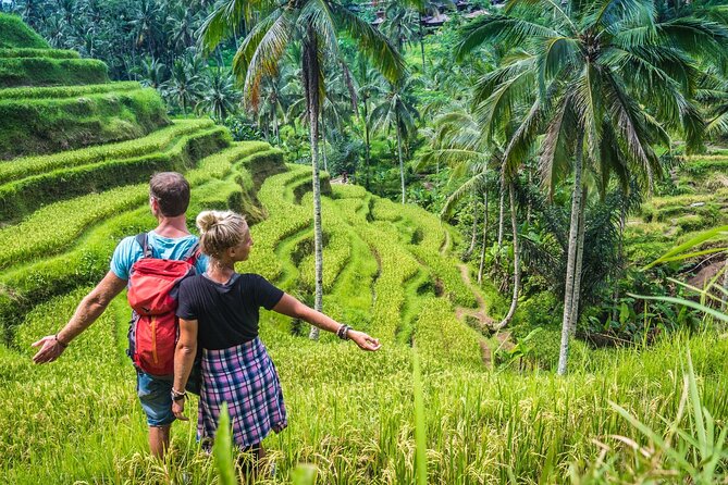 Ubud Adventure All Inclusive Private Day Tour - Tegalalang Rice Terrace: Classic Ubud Views and the Subak Story