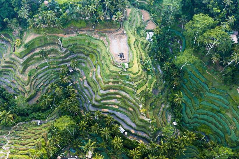 Ubud Adventure: Whitewater Rafting and Cultural Exploration - What’s included for $35: the value breakdown that matters