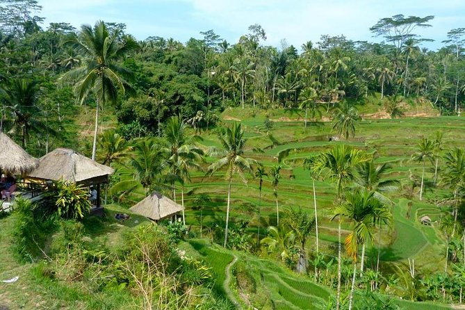 Ubud Combine Mount Batur Kintamani Tour - Sukawati and other craft villages: painting, silver, and batik