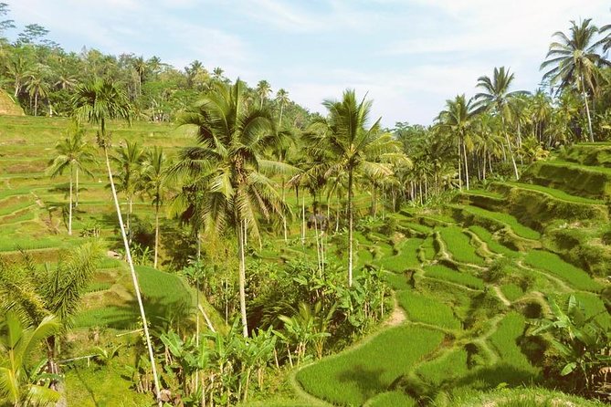 Ubud Combine Mount Batur Kintamani Tour - Tegenungan Waterfall: famous, but the day keeps it calmer