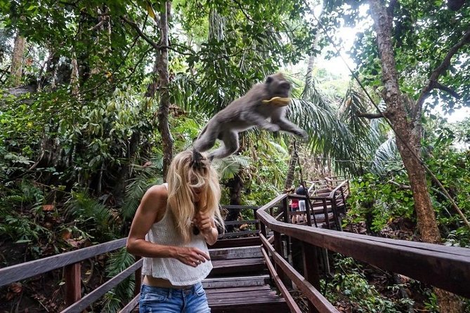 Ubud Cultural Tour - Pickup From Kuta to Ubud: Why the Timing Works (Mostly)