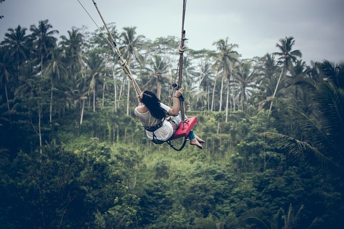 Ubud Customized Private Tour - Price and what you’re really paying for (and what you’re not)