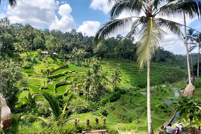 Ubud Customized Private Tour - Mount Batur in Kintamani: the viewpoint that justifies the long drive