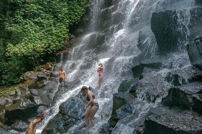 Ubud Customized Private Tour - Tegalalang Rice Terrace: subak irrigation, plus optional Bali swing