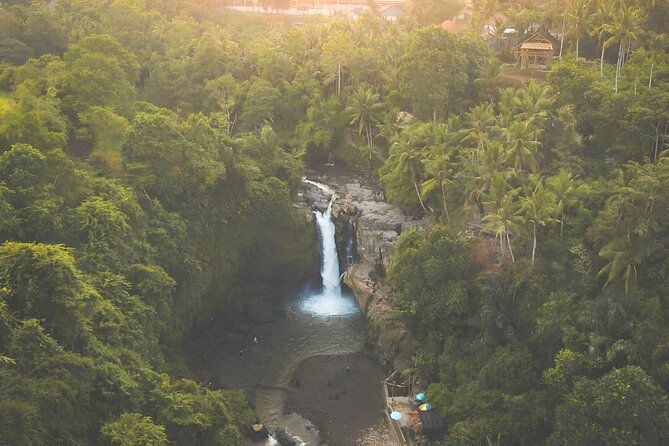 Ubud Day Tour: Sacred Monkey Forest, Tegenungan Waterfall, Rice Terrace - Tegenungan Waterfall: worth it, but plan for stairs
