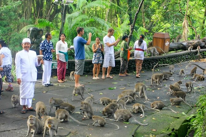 Ubud Day Tour: Sacred Monkey Forest, Tegenungan Waterfall, Rice Terrace - Price and what $24 really buys you