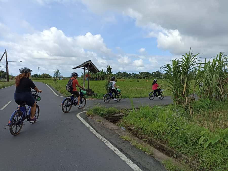 Ubud e-Bike Tour & Whitewater Rafting - Key things I think you’ll care about