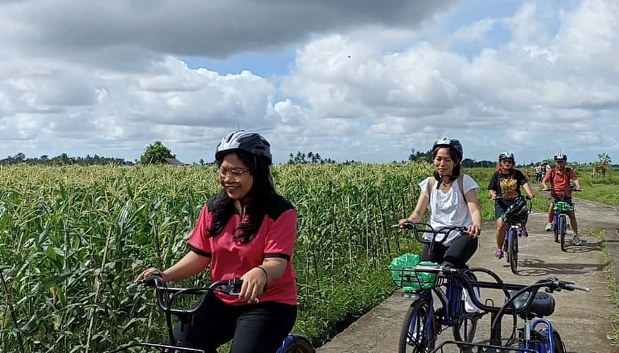Ubud e-Bike Tour & Whitewater Rafting - Lunch in a traditional Balinese compound: where you recharge (and eat well)