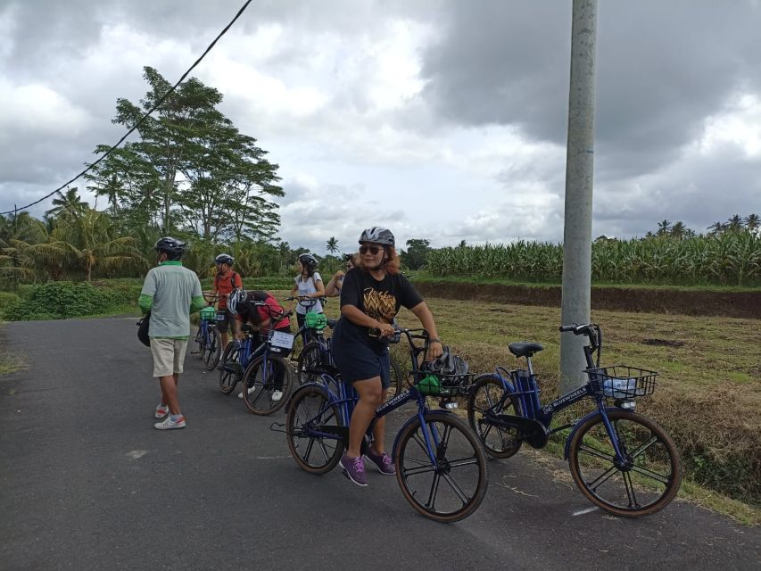 Ubud e-Bike Tour & Whitewater Rafting - Who this e-bike and rafting combo suits best (and who should skip it)