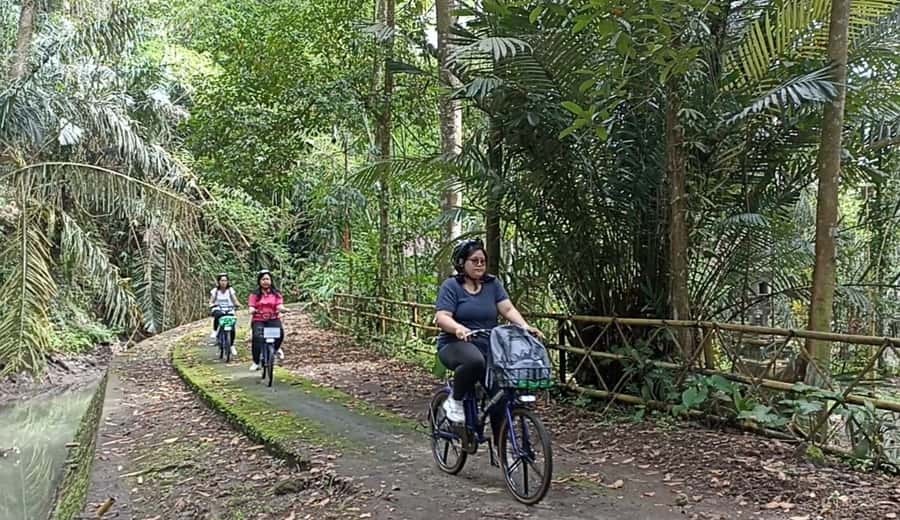 Ubud e-Bike Tour & Whitewater Rafting - Subak rice fields, dams, waterfalls, and the bamboo Bali Green School