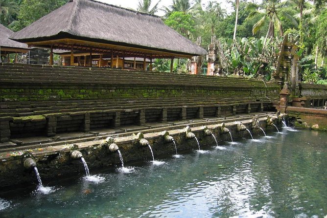 Ubud Experience ; Swing, Waterfalls, Art Market, Rice Terrace - Price and Value: What $41.67 Gets You (and What to Check)