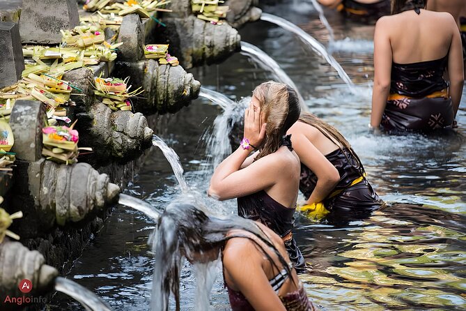 Ubud Highlights Rice Terraces, Temple, Waterfall & Monkeys forest - Sacred Monkey Forest Sanctuary: up close with the real Ubud experience